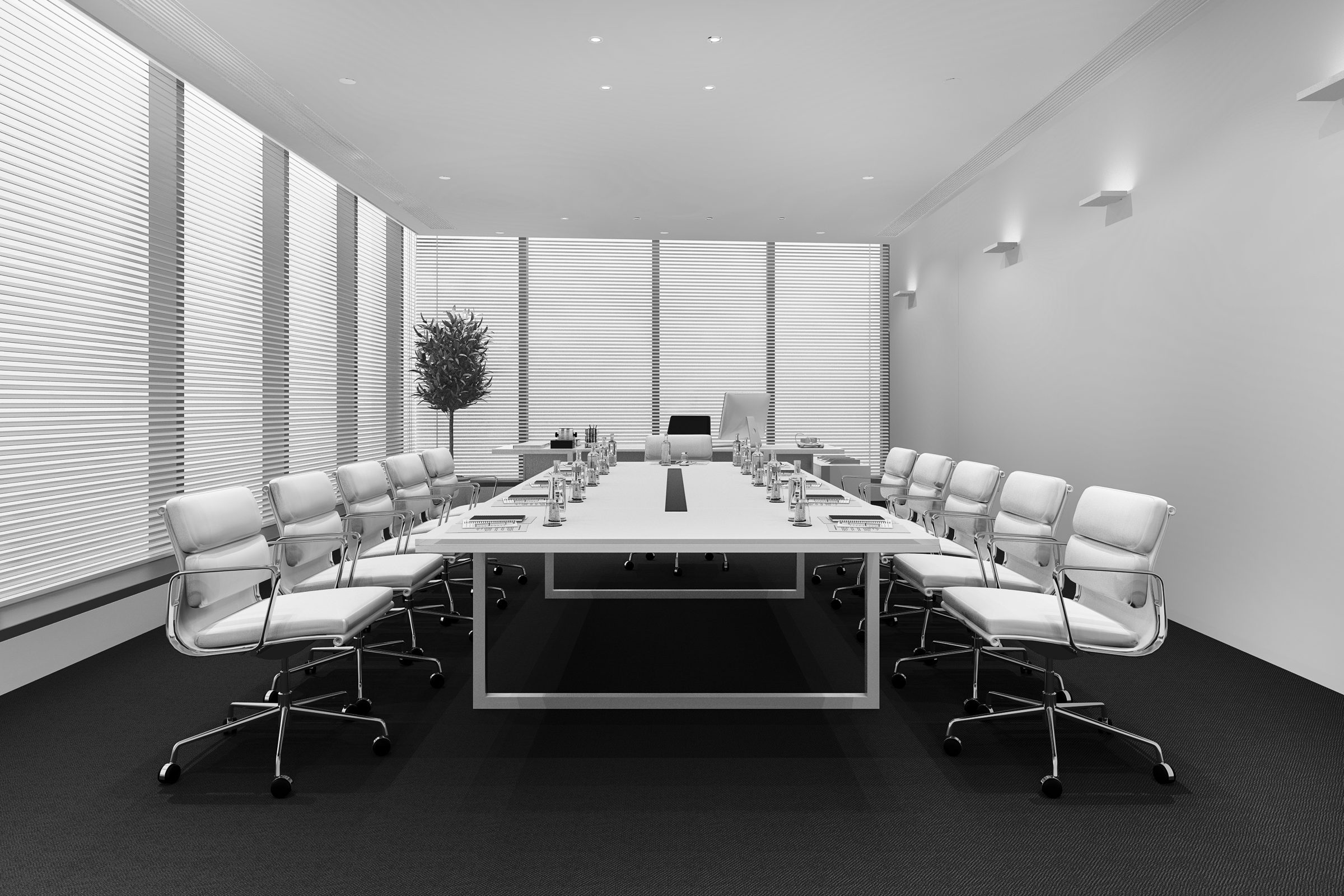 A bright meeting room with a long white table and rows of chairs