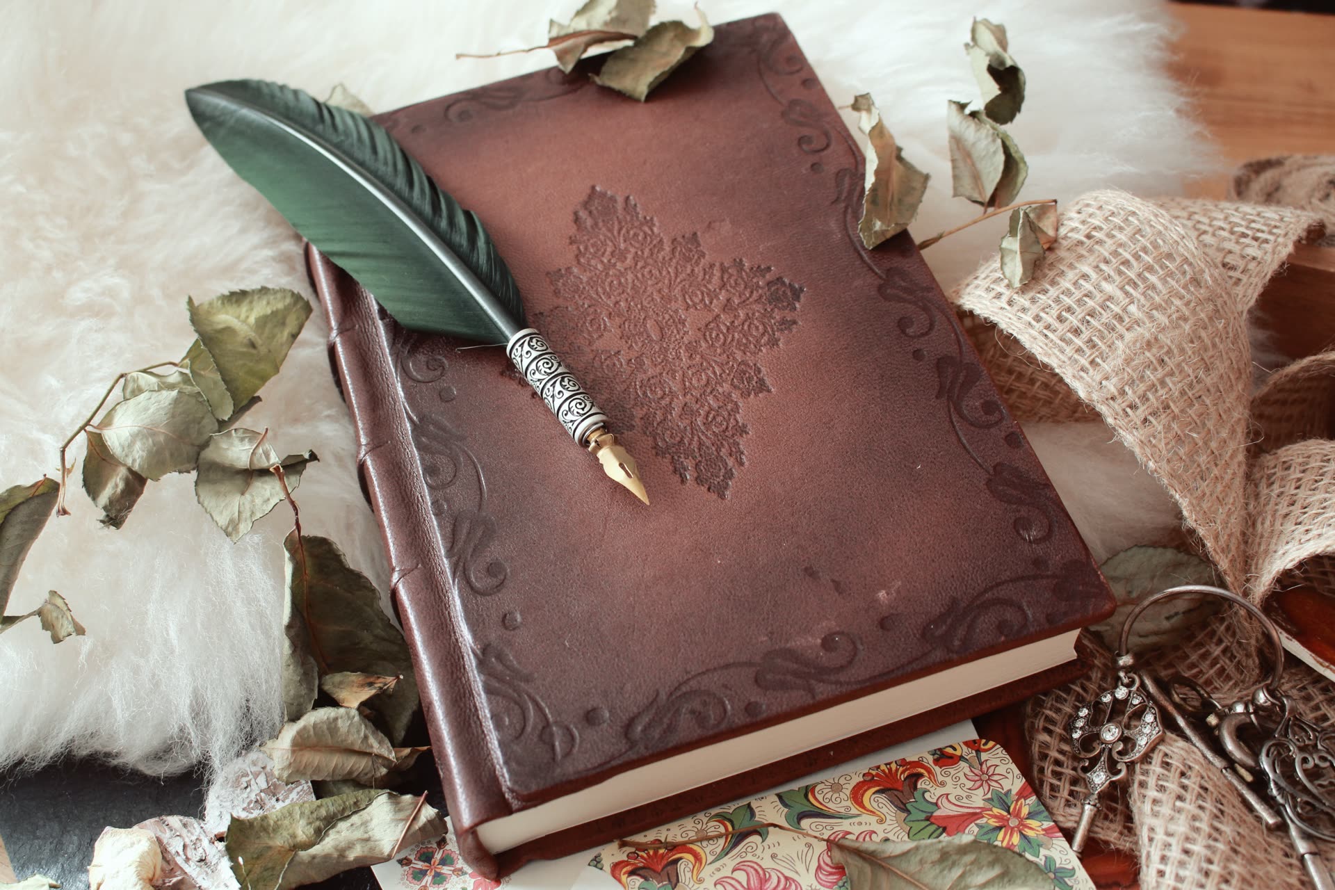 A quill pen resting on an open book